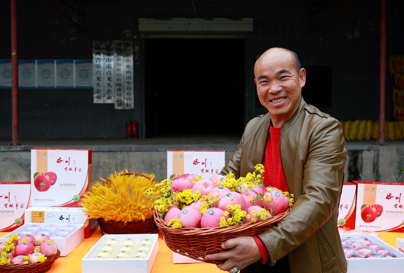 果農(nóng)在展示蘋果。王警攝
