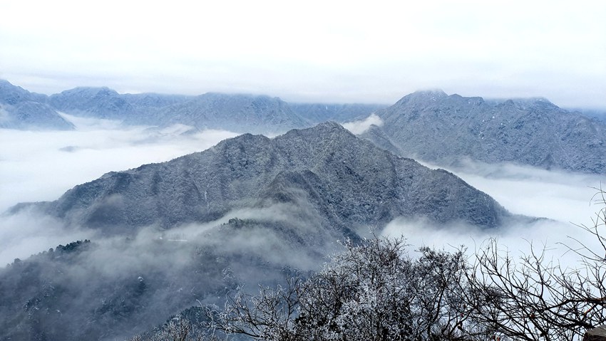 春雪落秦嶺，銀裝素裹美如畫。張玉龍 攝