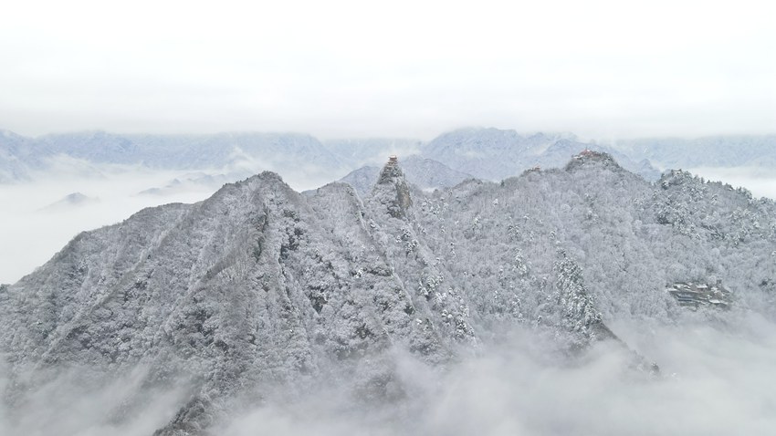 春雪落秦嶺，銀裝素裹美如畫。張玉龍 攝
