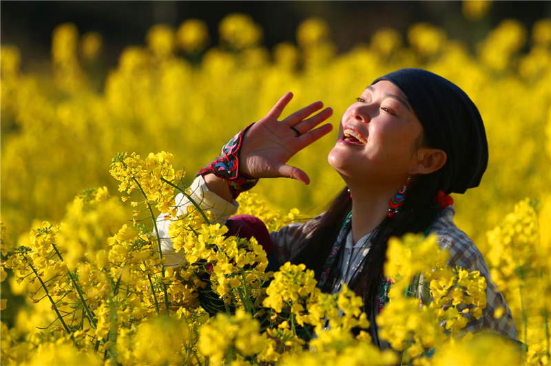 游客在油菜花海里拍照賞花。