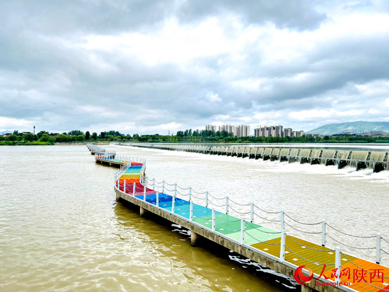 漢中市天漢濕地公園九曲人行景觀橋。人民網(wǎng)記者 孫挺攝