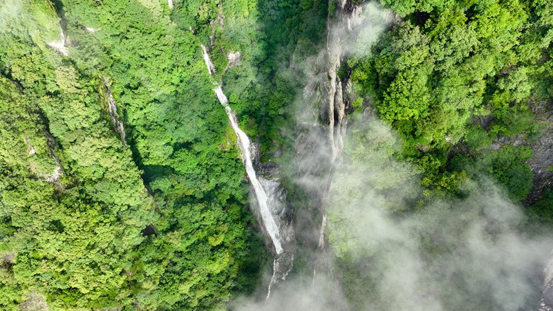 青山綠水牛背梁。牛背梁國家森林公園供圖