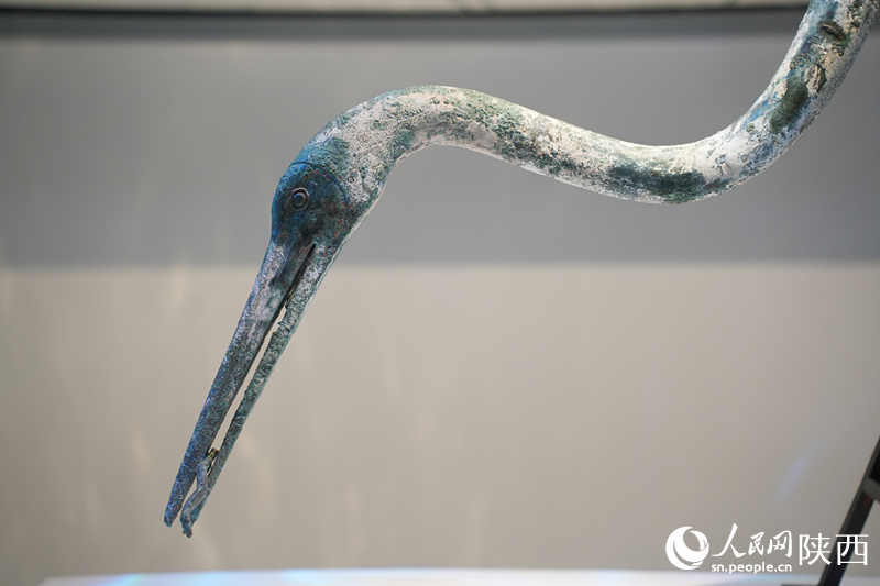 “何止秦俑---秦陵苑囿之K0007陪葬坑”展覽于1月31日開展。李志強(qiáng) 攝