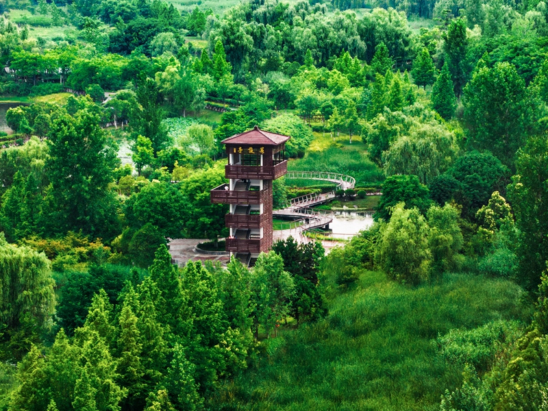 灃河生態(tài)濕地公園。西咸新區(qū)融媒體中心供圖
