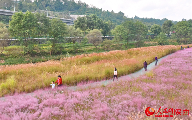 在漢江源頭玉帶河畔濕地公園游玩的游客。人民網(wǎng)記者 白鴿攝