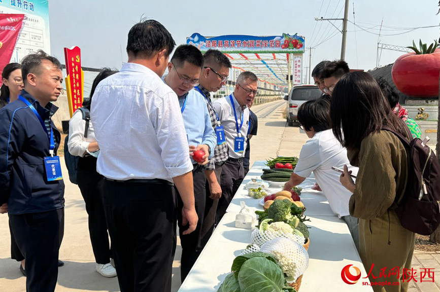 在涇陽縣高效節(jié)水（蔬菜）示范園了解涇陽蔬菜種植情況。