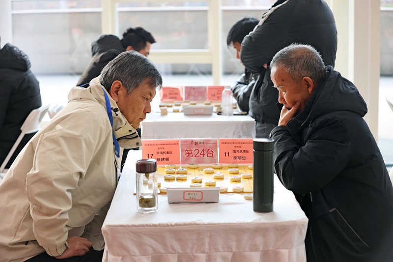 參賽選手正在進行象棋比賽。陜西省體育局供圖