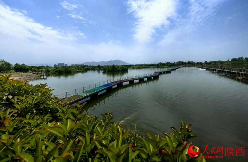 天漢濕地公園內，風景秀麗。人民網(wǎng)記者 鄒星攝