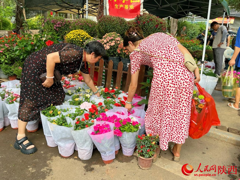 在秦嶺花世界花卉市場(chǎng)，市民選購(gòu)鮮花、綠植。人民網(wǎng)記者 魏鑫攝