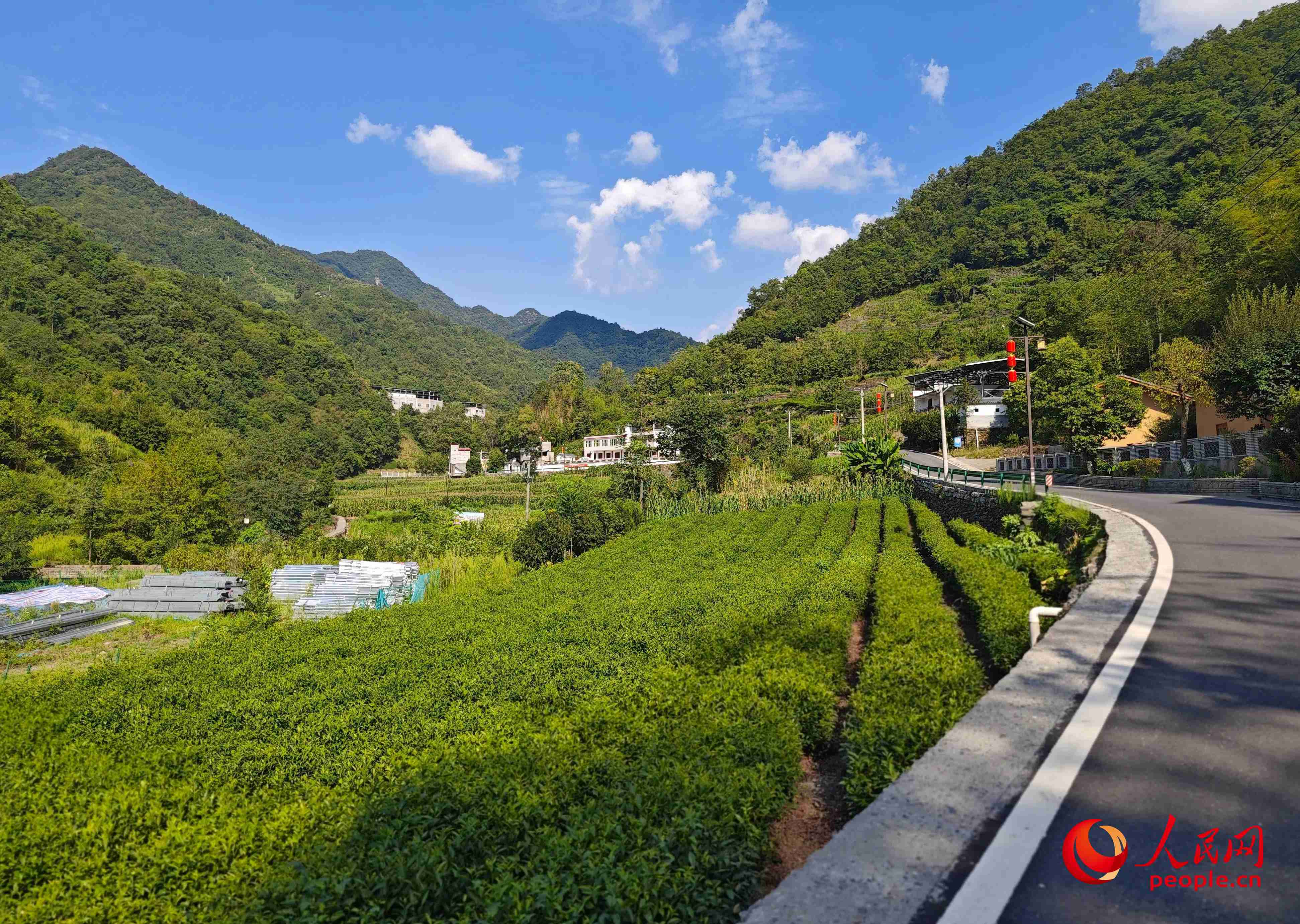 里端溝旁的鳳凰村。人民網(wǎng)記者 黃鈺攝