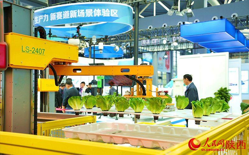 無(wú)人化植物工廠內(nèi)正在進(jìn)行蔬菜運(yùn)輸作業(yè)。人民網(wǎng)記者 孫挺攝