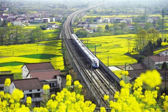 4月8日，在漢中市南鄭區(qū)新集鎮(zhèn)岳嶺村，飛馳的列車駛過油菜花海。段承甫攝